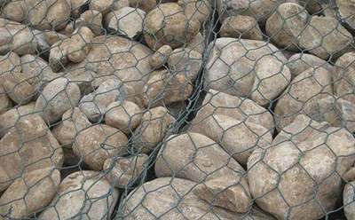 雷諾護墊 雷諾護墊