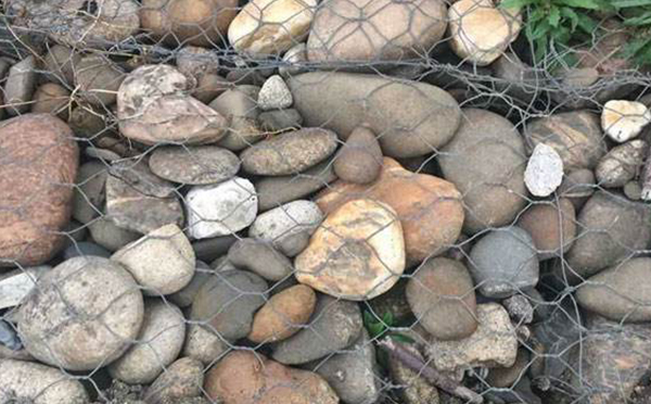 石籠網案例