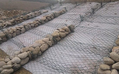 雷諾護墊 雷諾護墊