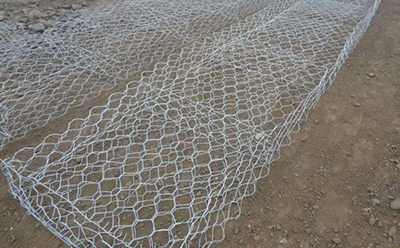 雷諾護墊 雷諾護墊