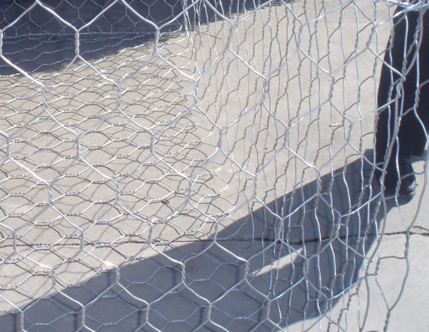 飛鴿截圖20181017105548.png 飛鴿截圖20181017105548.png